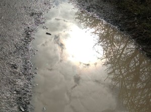 水鏡と、大地の中の水が虹色の光を放っているさま。英国湖水地方の水たまり。