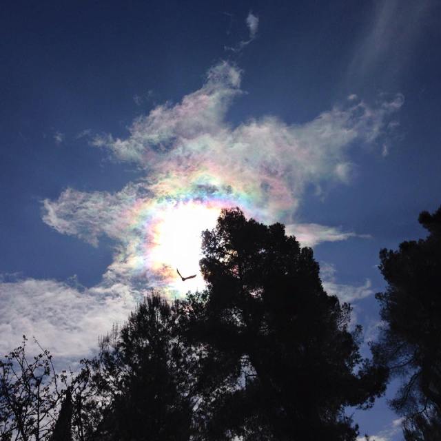 10491171_1100083880020052_4002640622450157261_n