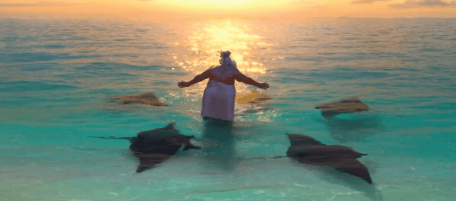 52d3d113a6c9af3c6ab6aa4e0d307c30