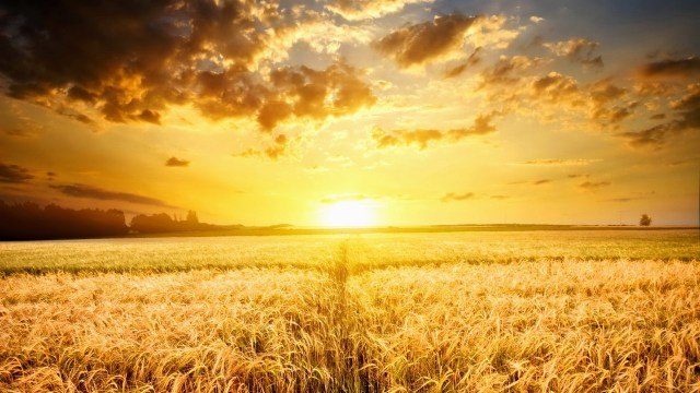 HD-Wallpapers-For-Desktop-3