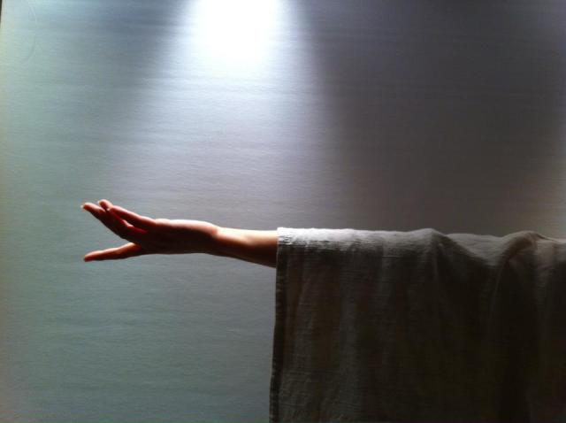 551613_373769122693297_797032604_n