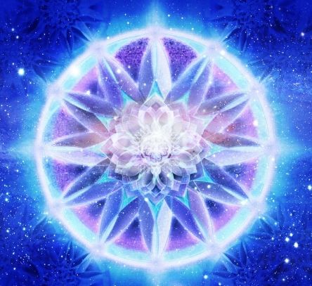 aa500c252cd436b0548205271f11ea6f--jellyfish-fractals