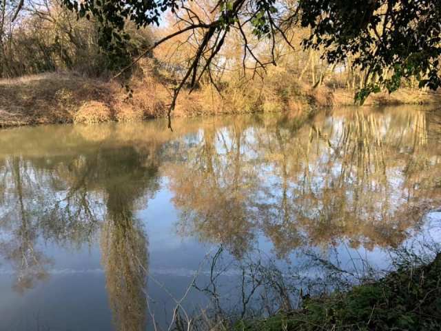 52717048_2246745795376801_2453363844362272768_n